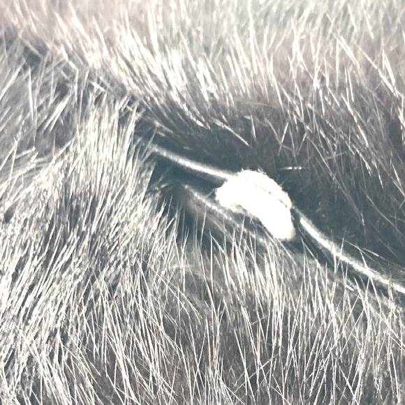 Louis Vuitton Montchon Black Vison crossbody bag shoulder mink - Picture 6 of 13